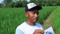 petani1
